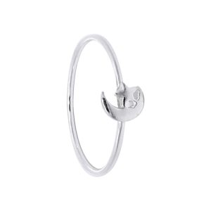 Anillo Luna